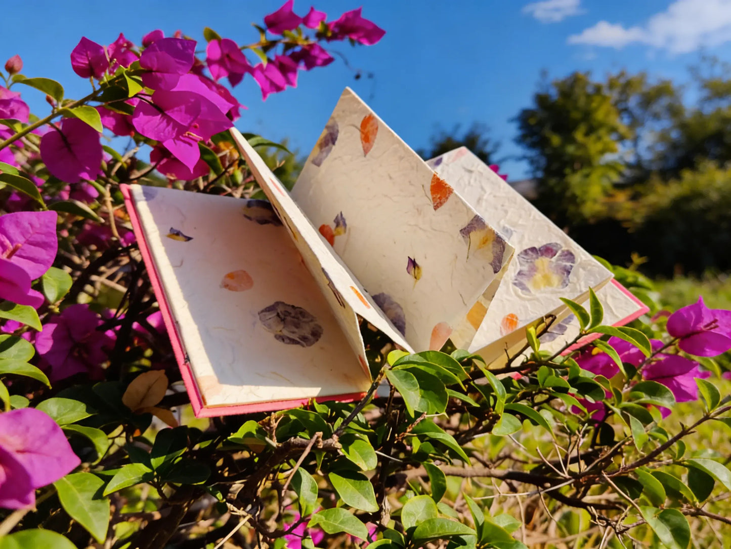 "Eternal Spring" Botanical Journal ¨C Folded Edition, Traditional Chinese Handcrafted Journal, Yunnan Heritage