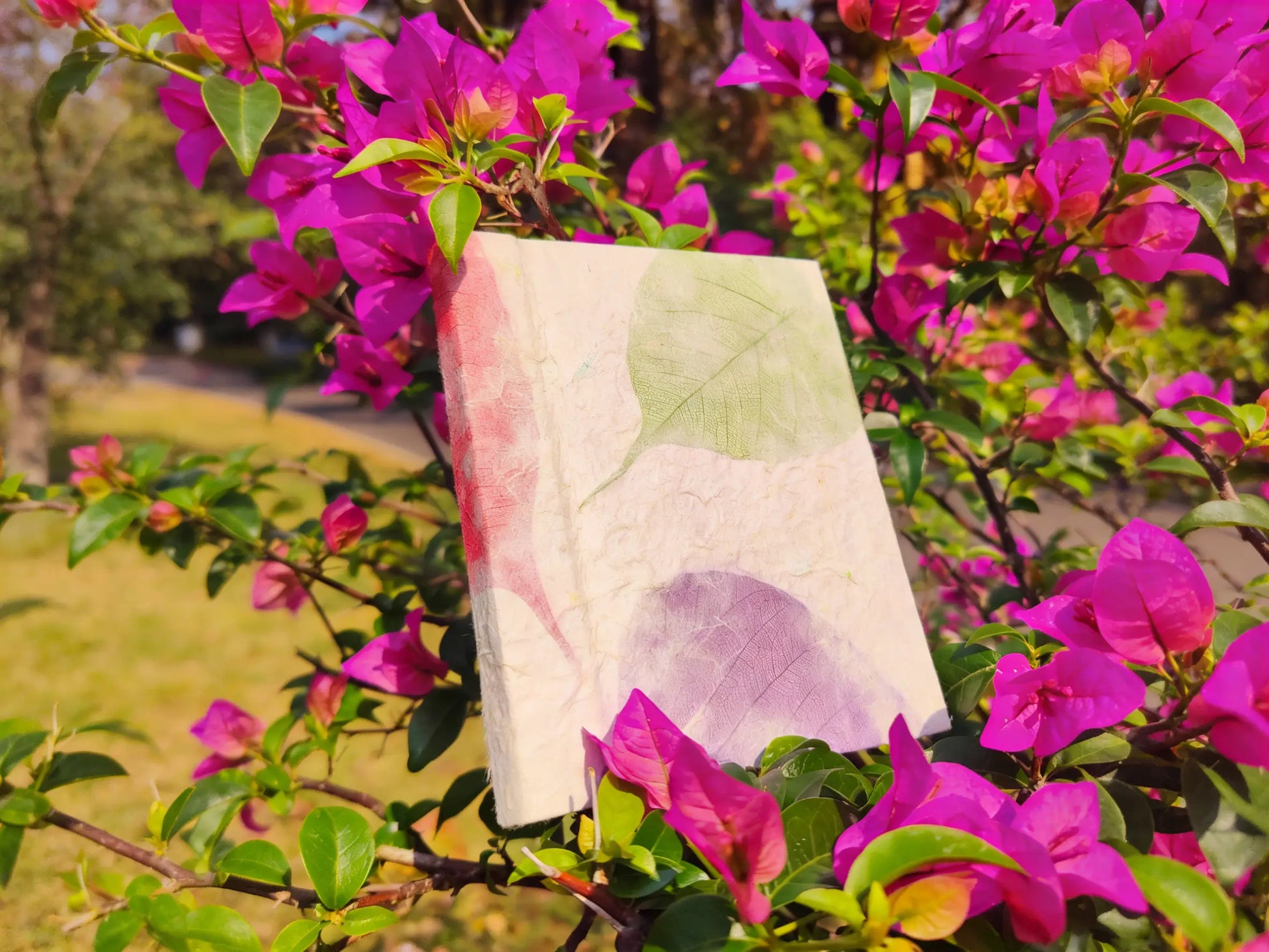 "Eternal Spring" Botanical Journal ¨C Handmade Edition, Traditional Chinese Handcrafted Journal, Yunnan Heritage