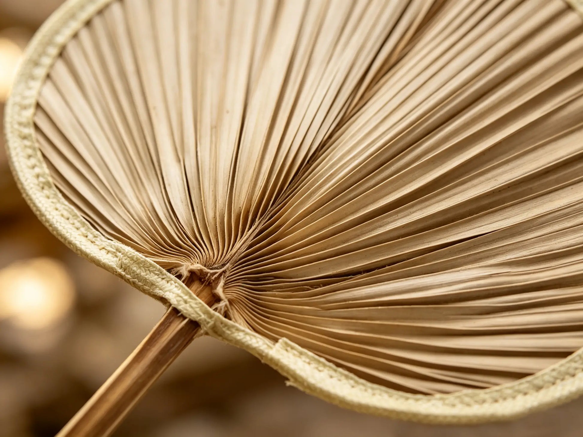 Nomad's Palm ¨C Handwoven Palm Leaf Fan Set of 5, Traditional Chinese Palm Fan, Yunnan Handcraft