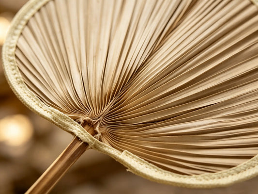 Nomad's Palm ¨C Handwoven Palm Leaf Fan Set of 5, Traditional Chinese Palm Fan, Yunnan Handcraft